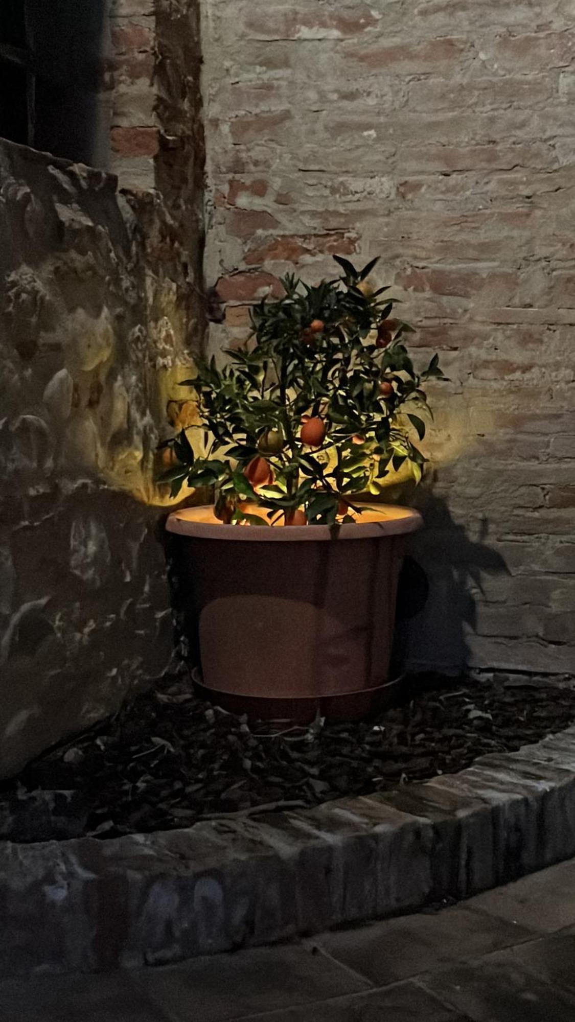 La Casa D'Ambra Villa Torre A Castello Eksteriør bilde