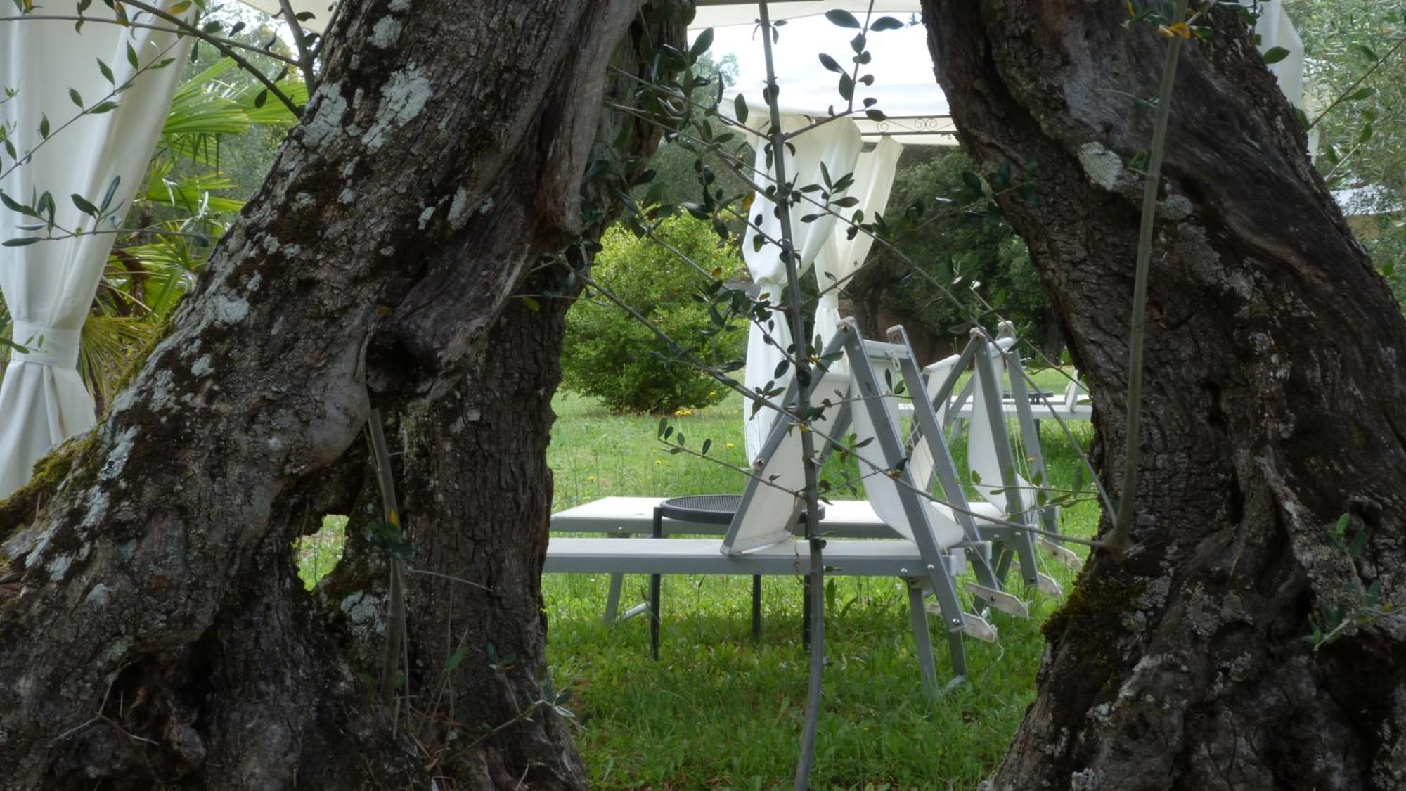 La Casa D'Ambra Villa Torre A Castello Eksteriør bilde